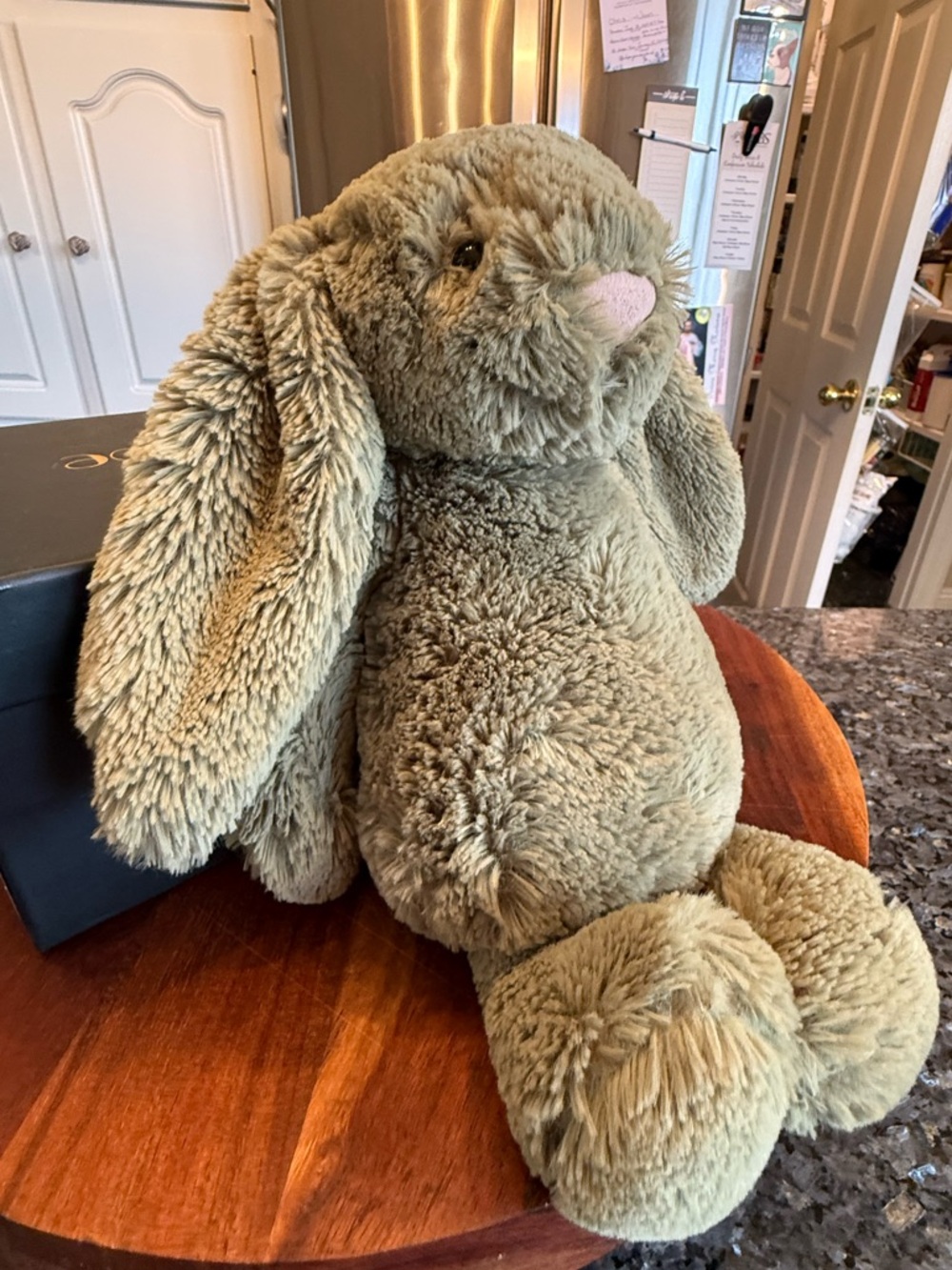 Medium Bashful Fern Bunny Jellycat - Retired & Authentic Design - Picture 3 of 11